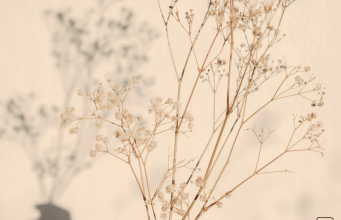 43 Uplifting Kindness Quotes to Inspire Positivity